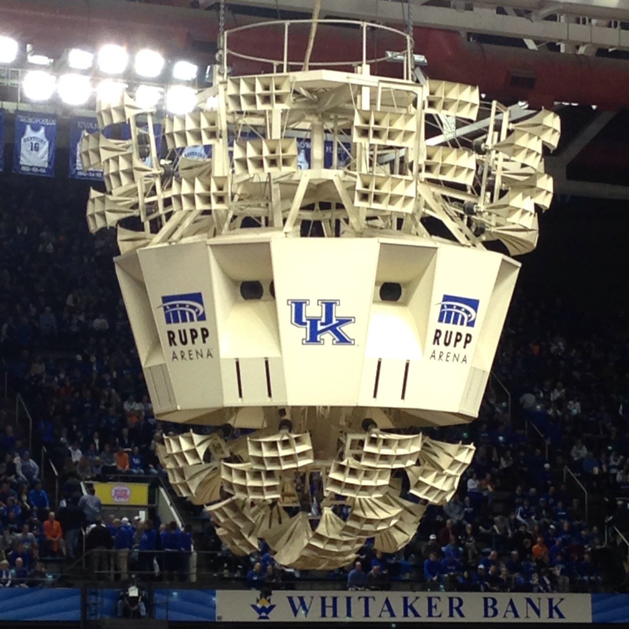 Freelance writer for University of Kentucky sports. Follow me for up to date info basketball, football, volleyball, and golf.