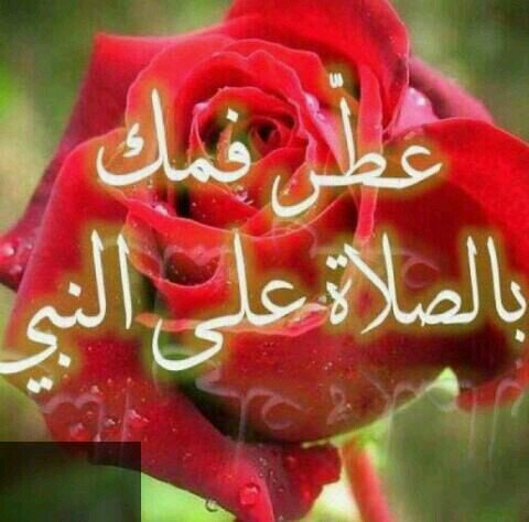 a200565's profile picture. سبحان،الله الحمدالله