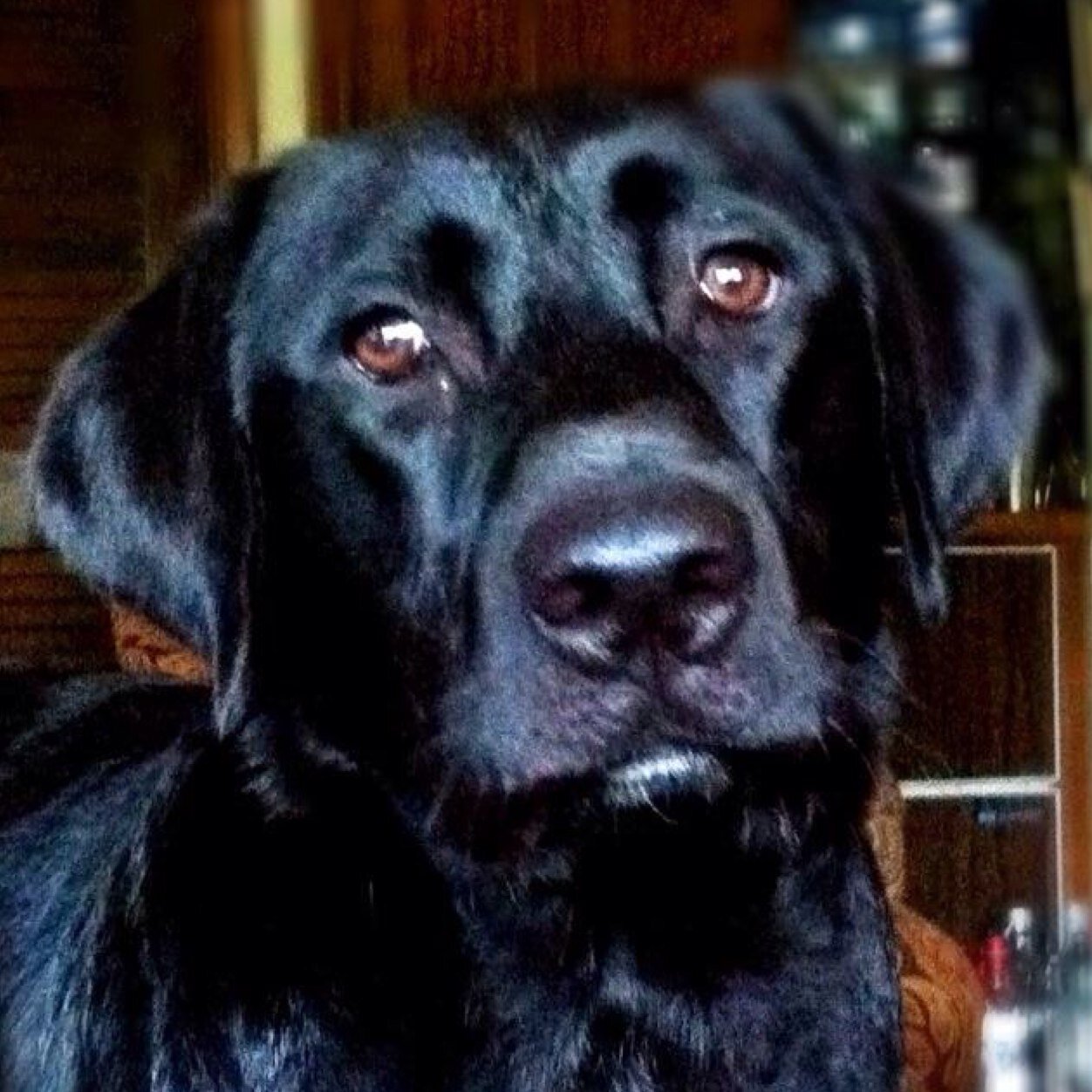 jcotoole's profile picture. 