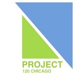 p120chicago's profile picture. Project 120 Chicago in partnership with the Chicago Park District and the Community is developing and implementing projects to revitalize Chicago's South Parks.