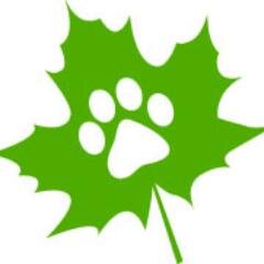 The Vermont Pet Directory is the best location for pet information in the Green Mountain State.