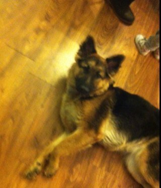 MariovitoVito's profile picture. 