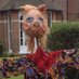 Miss Piggy (@finchdeb) Twitter profile photo Miss Piggy (@finchdeb) Twitter profile photo