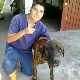 Estudiante medicina veterinaria y zootecnia