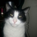 Todd William Miller - @Twiller541 - Twitter