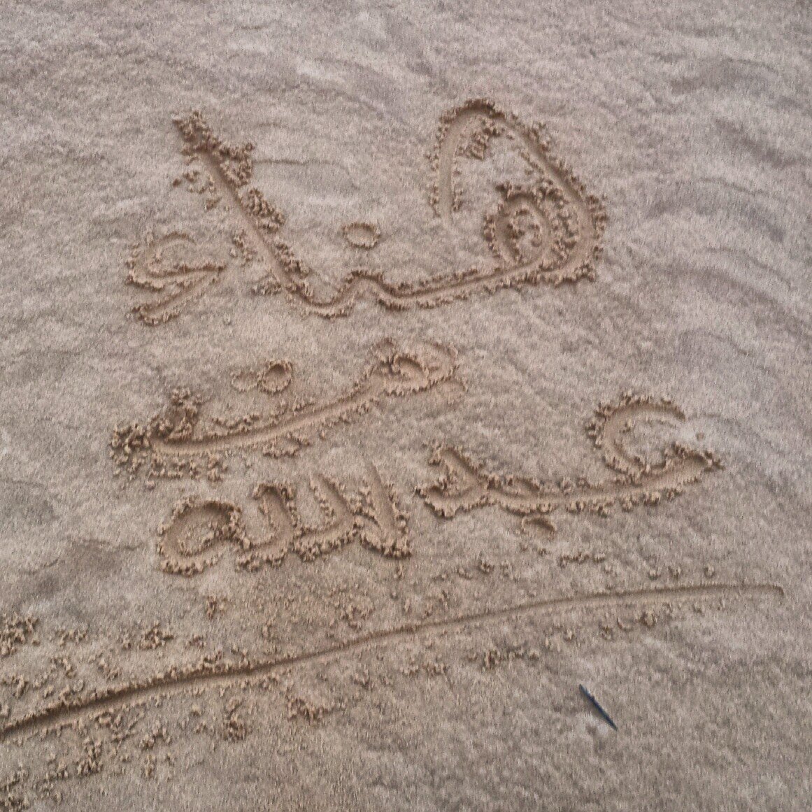 ‏‏‏‏‏فتاة متفائلة أحب الحياة وأحب إسعاد الأخرين..أملي أن أرى الأمة الإسلامية و العربية متحدة...أعجبتني حكمة: ما أعظم النجاحات بعد أشق العثرات.