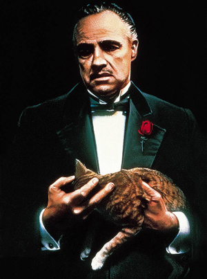 GodfatherY's profile picture. 