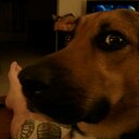 bradley phillips - @bradleyp71 - Twitter