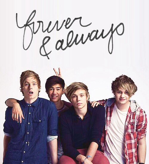 SHDJSLSGs's profile picture. I LOVE 5 SECONDS OF SUMMER AND BANDS