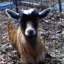 Kim Lefever - @kimlefeverWTR - Twitter