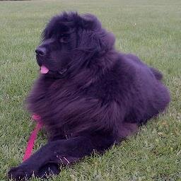 M_C_Neil's profile picture. Canadian father and husband. I like my tunes and sports. And I’m tired of the daily political commentary...