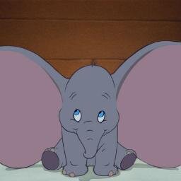 Sevdeyurdakul's profile picture. Kaihl 15'