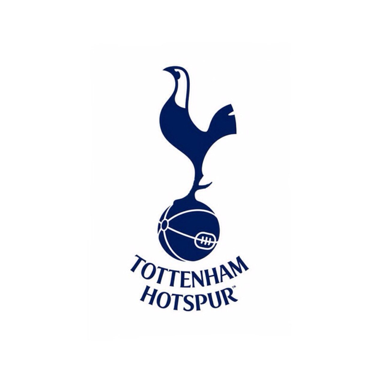 Spurs supporter.
