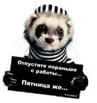 avuxraswe's profile picture. Такая хорошая погода, надо подвинуть компьютер ближе к окну.