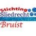 Sliedrecht Bruist (@sliedrechtbruis) Twitter profile photo