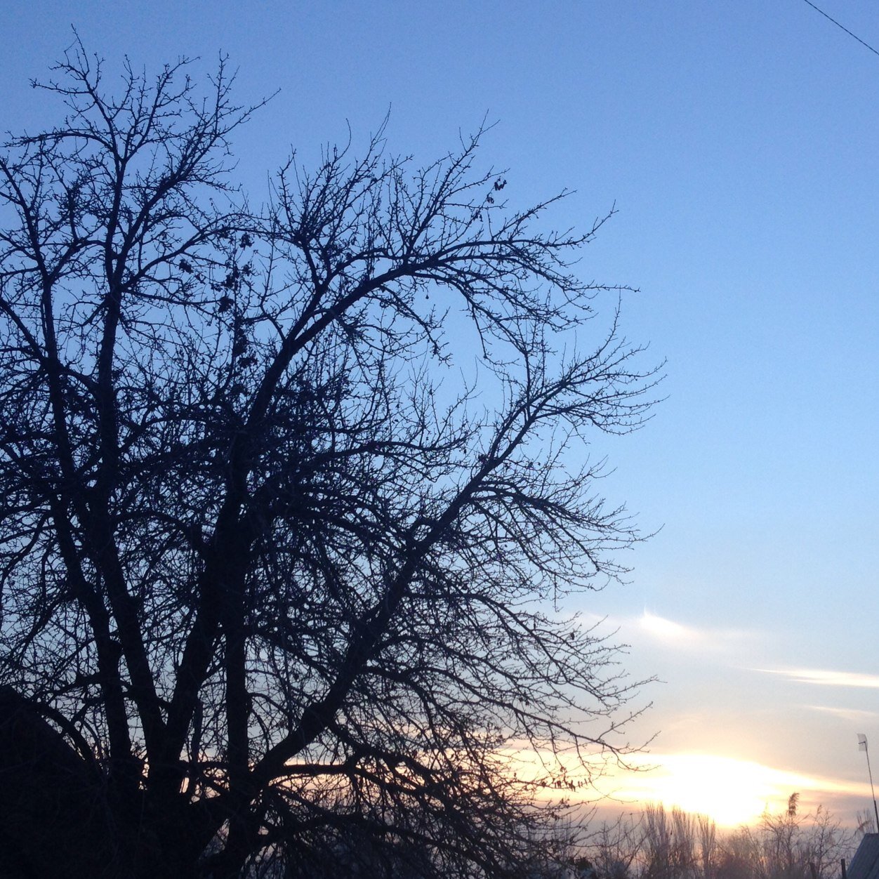 Alena_Dyachenko's profile picture. 