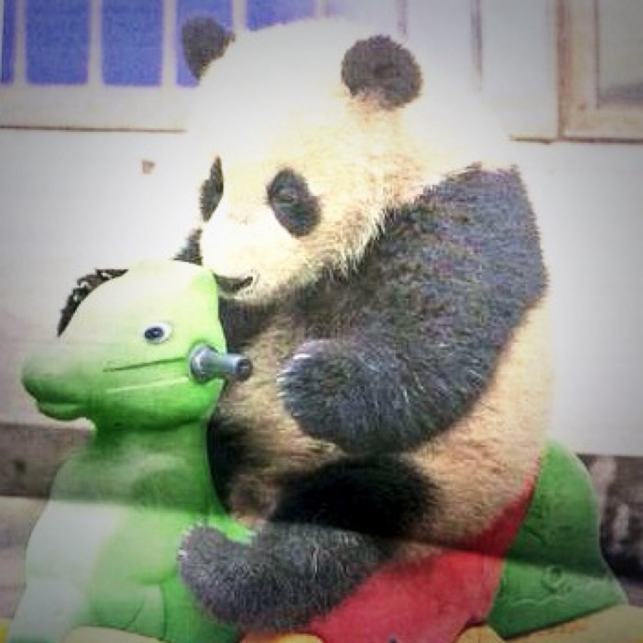 TheSpiderBlues's profile picture. UK Comedy group - Presenting our new silly short #ReadyMeal