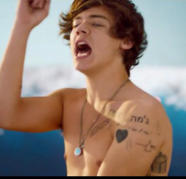 DlRECTIONER_BBY's profile picture. A profession? Directioner. A Job? Supporting Our Boys. A salary? Their smiles and laughs. A promise? Loving them forever & alaways ♥️ - @Onedirection -Kuwait