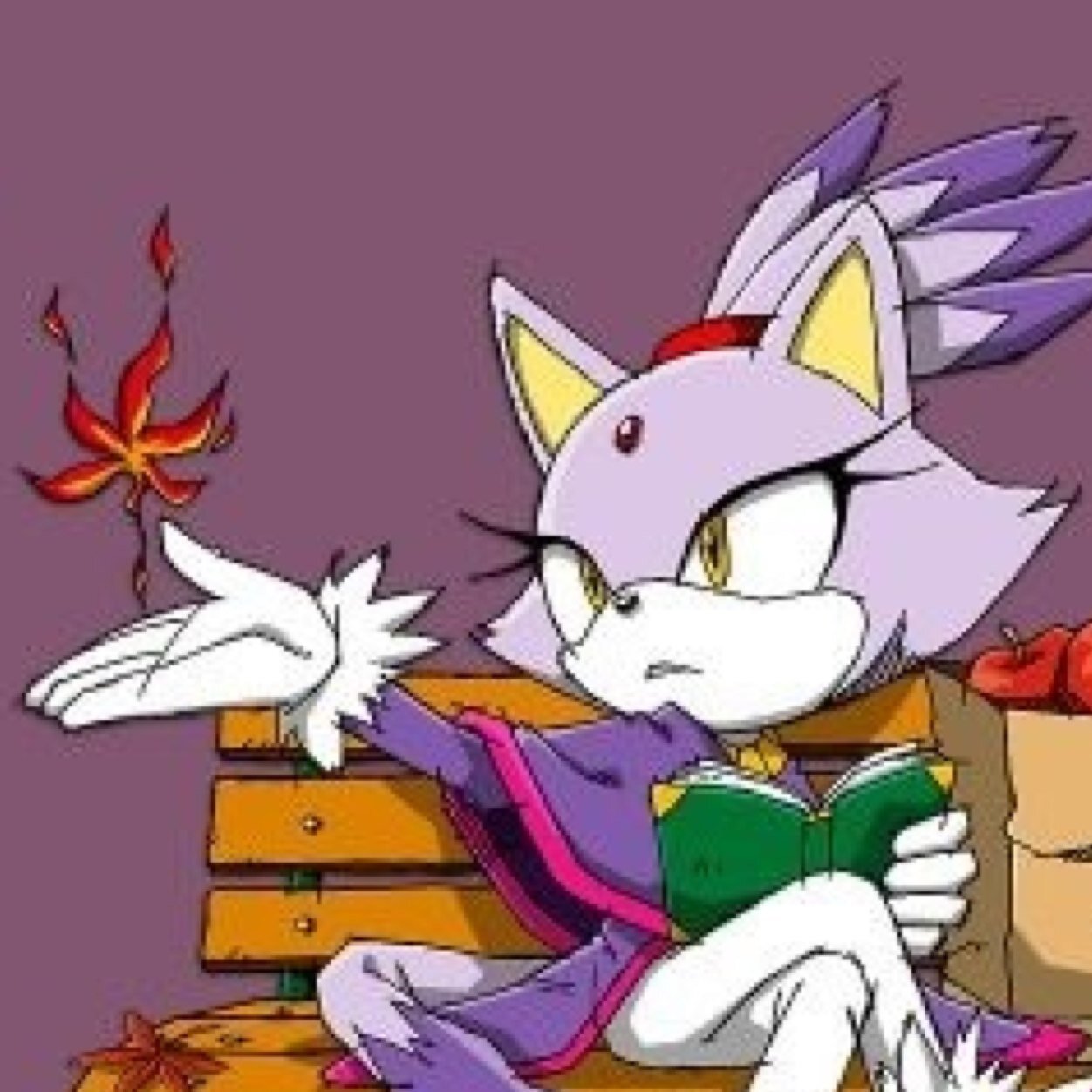 I am Blaze the Cat, guardian of the Sol Emeralds and Princess of the Sol Dimension. The fabric of space has ripped, so here I am. || #SonicRP #MVRP ||