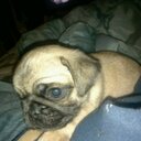 Derek Fink - @DFink2002 - Twitter