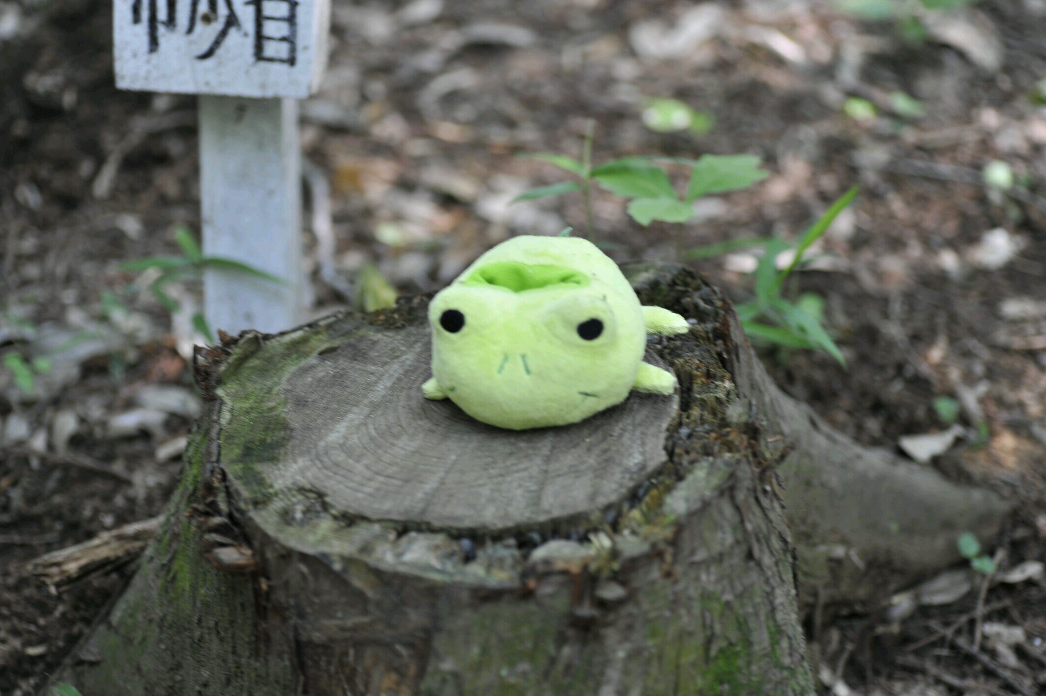 カメラ片手にあちこちお散歩したり。旅行と謎解きと舞台に夢中(＞▽＜）
のんびり生きてます。