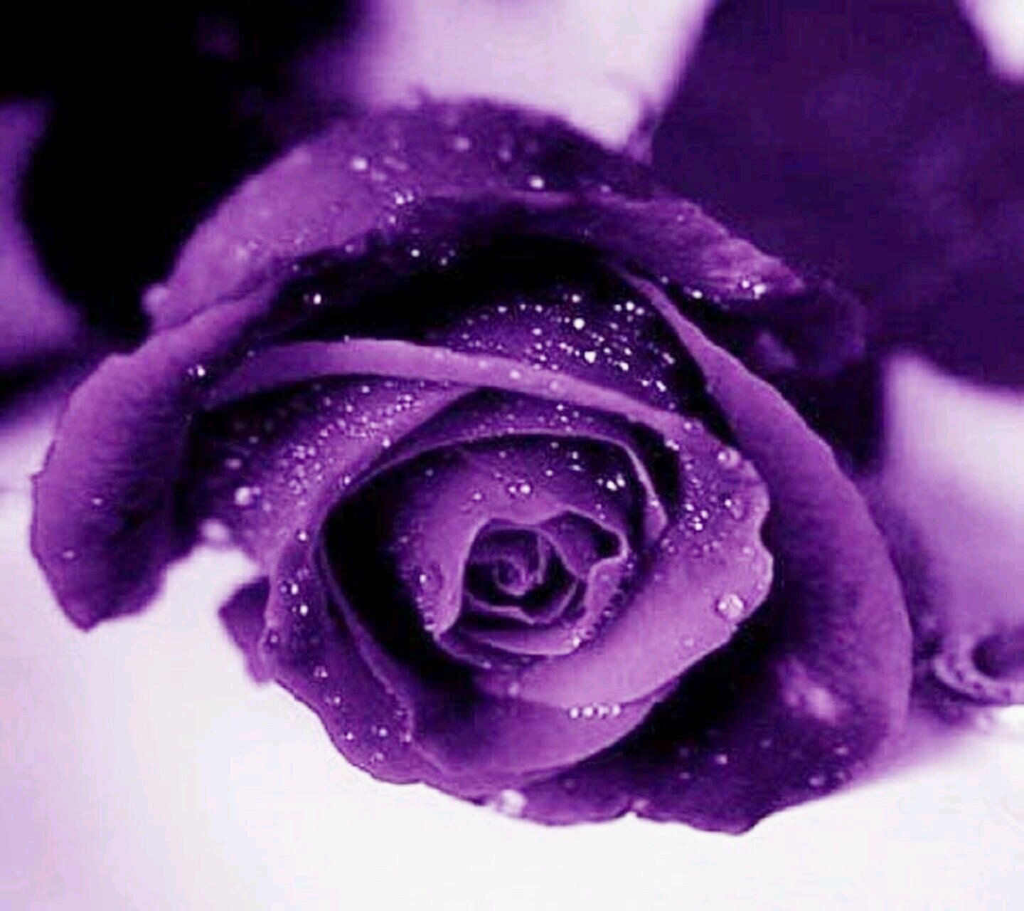 أبتسم دامها صدقه😊💓 ..رضا الناس قانون لا يشملني..