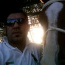 مدرب خيول (@028836630) Twitter