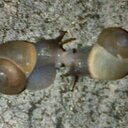 derek butler - @derlerek - Twitter