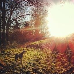 oojanek's profile picture. 