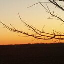 Paula Lanham - @happygurl123 - Twitter