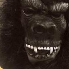 Official Gorilla of PItt's Oakland Zoo. #H2P