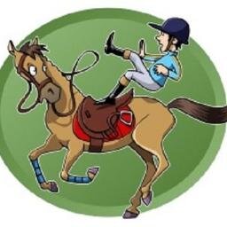 First Aid for Horse Riders, Certified Courses. Owned by horses, riding and competing for fun