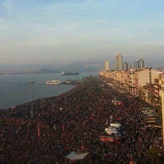 aicha_35's profile picture. 