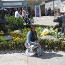 Alice Raymond - @AliceRymond - Twitter