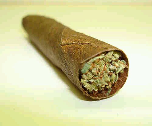 where's my lighter mane?
