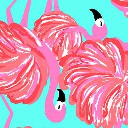 StyledSouthern's profile picture. Living in the south and wearing Lilly!