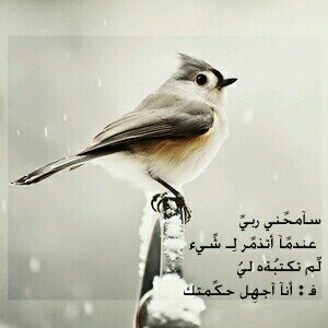 ‏اللهم إنى أسألك راحه تملأ نفسي ورضا يغمر قلبي ،وعملا يرضيك ربي ،وذكرآ يشغل وقتى وعفوا يغسل ذنبي -