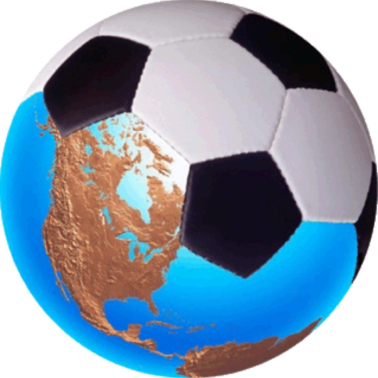 A field; A ball; A team; Determination = soccer