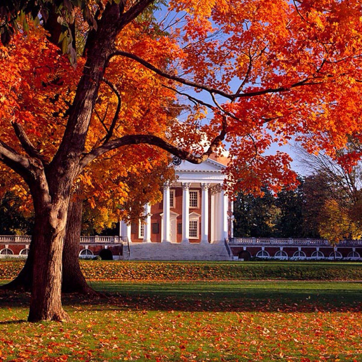 LexDunn's profile picture. 