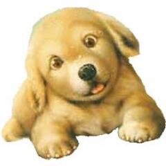 I am a fun person, I love living my life, I love the beach, sweet and chocolate, and being with my friend =''=......