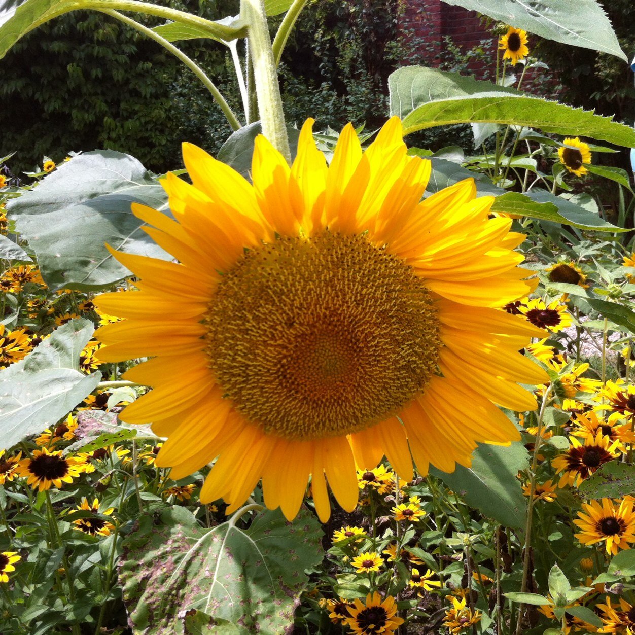 JaymaGale's profile picture. 