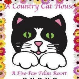 We love cats and cat people united through social media and offering a wonderful Resort and Spa services for Cat's Only! Meows!!