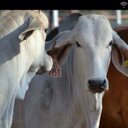 Juan Camilo Munera - @jkm_juan - Twitter