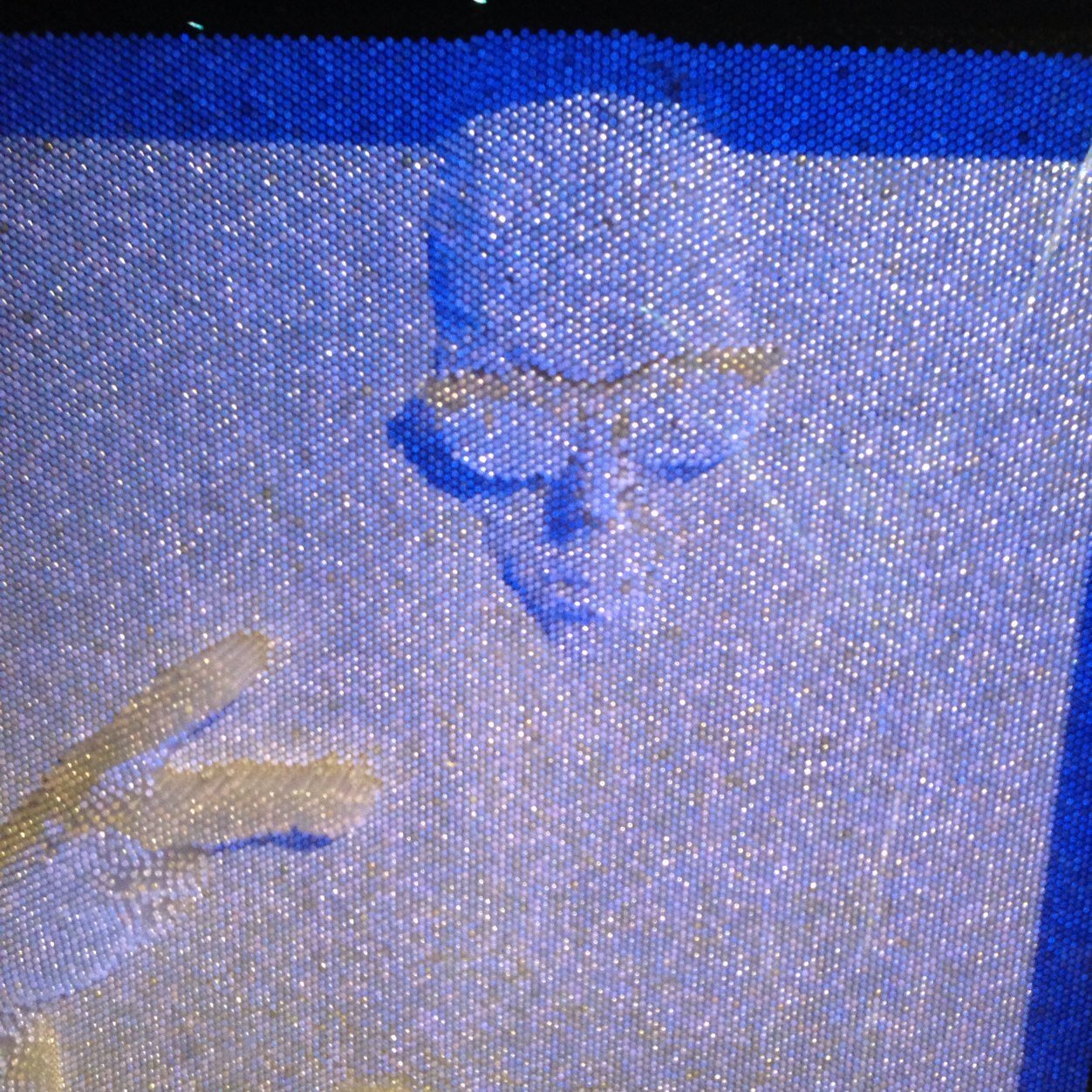 thierzi's profile picture. 