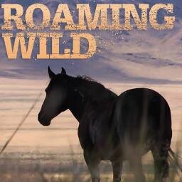 Roaming Wild