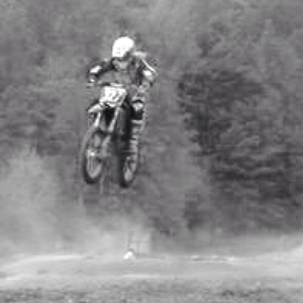 DaveyMx23Mattei's profile picture. 