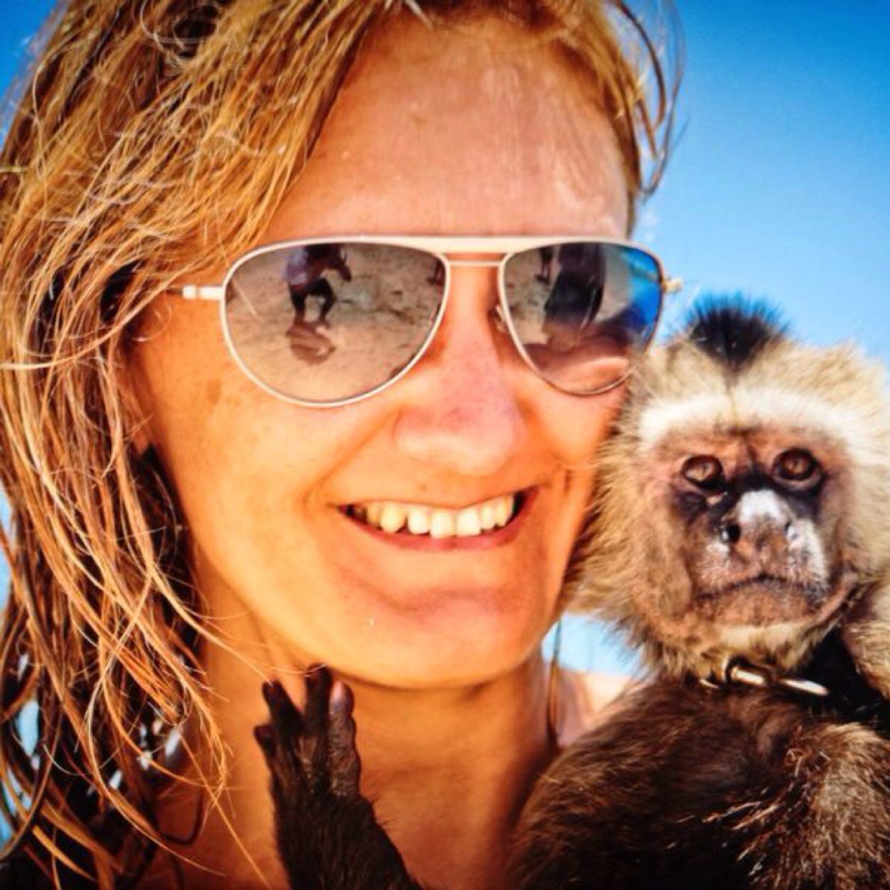 montsegp26's profile picture. 