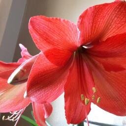 this account posts my articles and others.   I will also post a comment from time to time on your website or blog