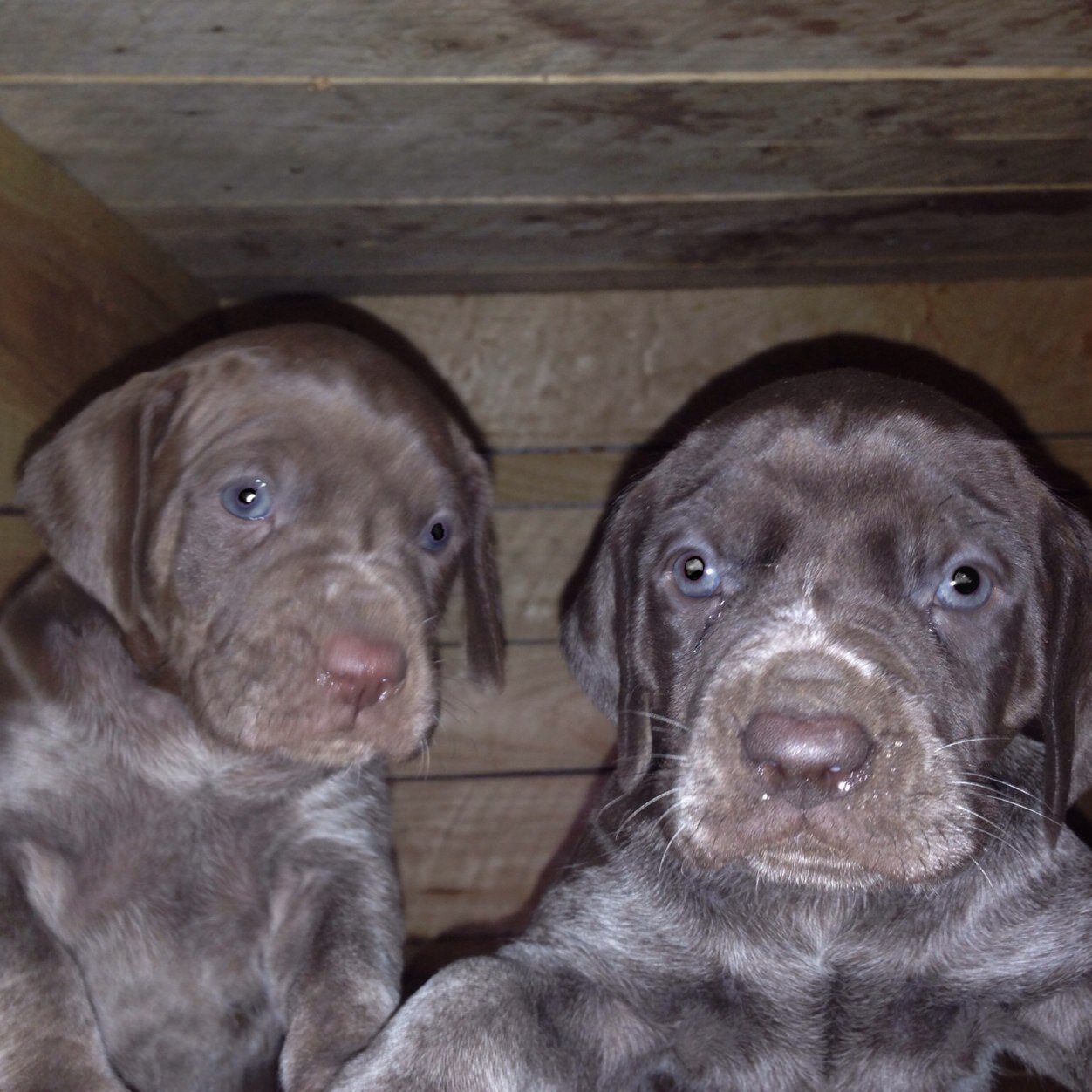 AxierMurua's profile picture. 