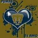 Elio Castro Castro - @eliocastro85 - Twitter